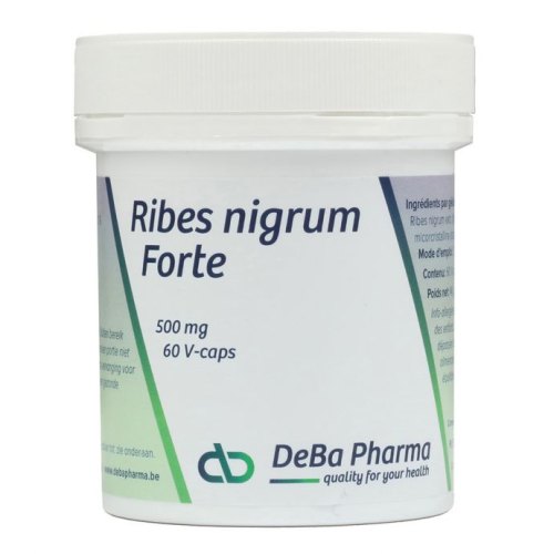 60 Kapseln DeBa Pharma Ribes Nigrum Forte 500 mg