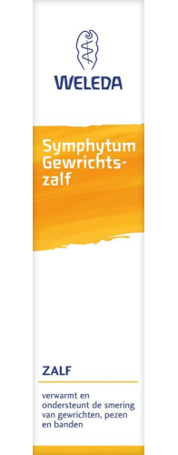 Weleda Symphytum Gewrichtszalf 25 gram