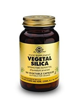 Solgar Vegetal Silica 100 capsules