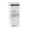 20 Ml VSM Enkelvoudige Homeopathie Camphora D4