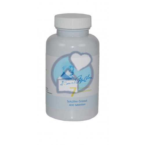Dr. Schussler Magnesium Phosphoricum Nr. 7 400 tabletten