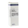 VSM Enkelvoudige Homeopathie Hypericum Perforatum D6
