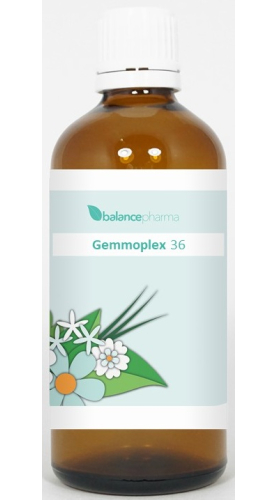 100 ml BalancePharma Gemmoplex 36 Trauma Lymf (HGP)