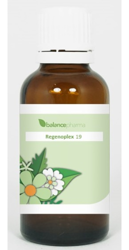 30 ml BalancePharma Regenoplex 19 Dunne Darm