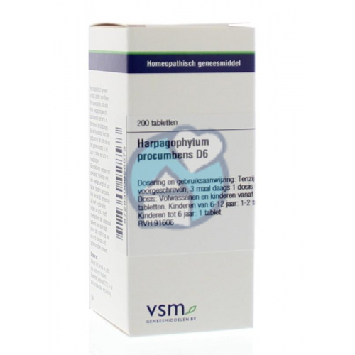 VSM Enkelvoudige Homeopathie Harpagophytum Procumbens D6