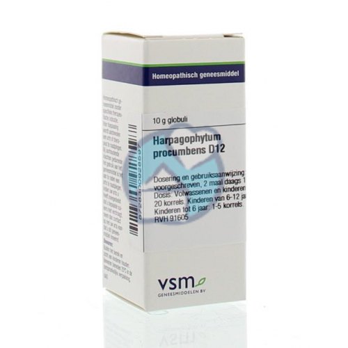 VSM Enkelvoudige Homeopathie Harpagophytum Procumbens D12