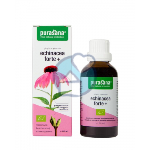 50 Ml Purasana Echinacea Forte+ Biologisch