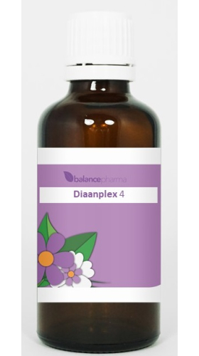 50 ml BalancePharma Diaanplex 04 Dunne Darm