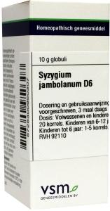VSM Enkelvoudige Homeopathie Syzygium Jambolanum D6