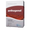 Masqueliers Anthogenol