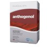 Masqueliers Anthogenol
