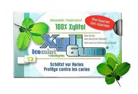 XyliGum Icemint Kauwgom 12 Stücke