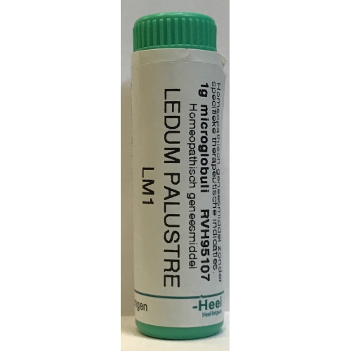 Homeoden Heel Ledum Palustre LM1