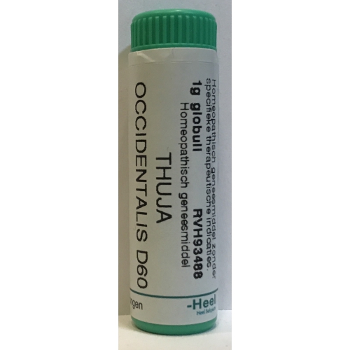 1 gram globuli Homeoden Heel Thuja Occidentalis D60