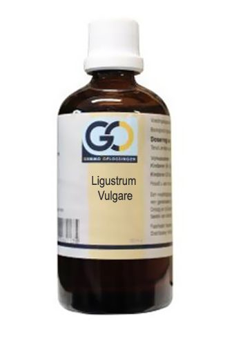 100 ml GO Gemmo Oplossingen Ligustrum Vulgare Biologisch