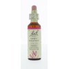 20 ml Bach Sweet Chestnut