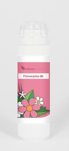 BalancePharma HFP 66 Troost (Flowerplex)