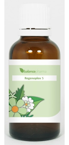 30 ml BalancePharma Regenoplex 05 Hypofyse