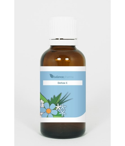 30 ml BalancePharma Detox 06 Energy Charge