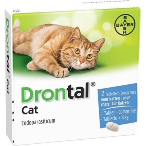 Bayer Drontal Cat