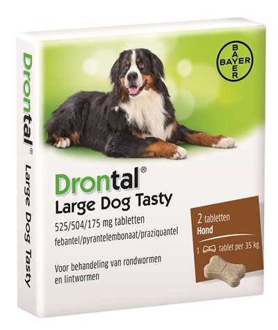 Bayer Drontal Large Dog Tasty
