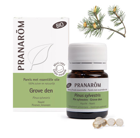  Pranarom Grove Den - Pinus Sylvestris Essentiële Olie Parels Biologisch