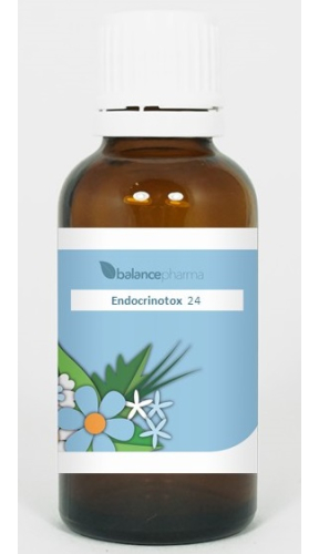 30 ml BalancePharma Endocrinotox 24 Kind-Immuno