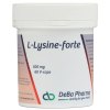 60 Kapseln DeBa Pharma L-Lysine Forte 500 mg