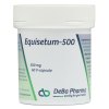 60 Kapseln DeBa Pharma Equisetum-500