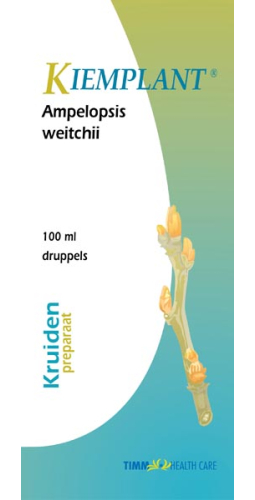 Kiemplant Ampelopsis Weitchii 100 Ml