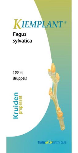 Kiemplant Fagus Sylvatica 100 Ml