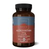 100 capsules Terranova Astaxanthin Complex 4 mg