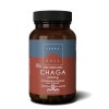 Terranova Chaga 500 mg
