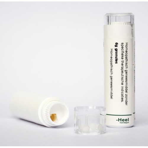 6 gram Homeoden Heel Chelidonium Majus D30