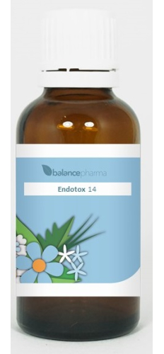 30 ml BalancePharma Endotox EDT 014 Thymus