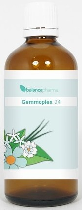 100 ml BalancePharma Gemmoplex 24 Endoclima (HGP)