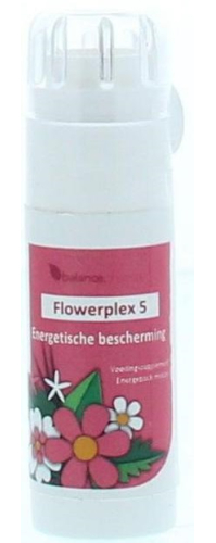 BalancePharma HFP 05 Energetische Bescherming (Flowerplex)