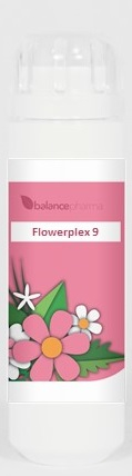 6 Gramm Granulen  BalancePharma HFP 09 Mannelijke Spiritualiteit (Flowerplex)