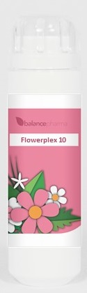 6 Gramm Granulen  BalancePharma HFP 10 Etherische Kracht (Flowerplex)