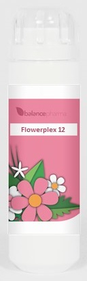 6 Gramm Granulen  BalancePharma HFP 12 Kundalini Chi (Flowerplex)