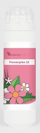 BalancePharma HFP 13 Meditatie (Flowerplex)