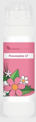 BalancePharma HFP 17 Nieuwe Hoop (Flowerplex)