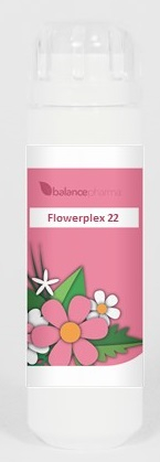 6 Gramm Granulen  BalancePharma HFP 22 Zachtheid (Flowerplex)