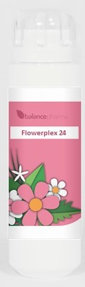BalancePharma HFP 24 Vreugde (Flowerplex)