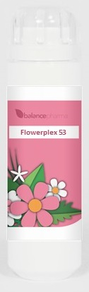 BalancePharma HFP 53 Serene Overgang (Flowerplex)