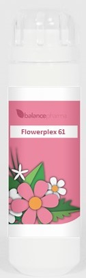 BalancePharma HFP 61 Vergevingsgezindheid (Flowerplex)