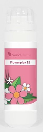 BalancePharma HFP 62 Zelfkennis (Flowerplex)