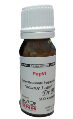 200 korrels DNH Research PapVI