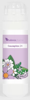 6 gram granules BalancePharma CSP 24 Artrisode (Causaplex)