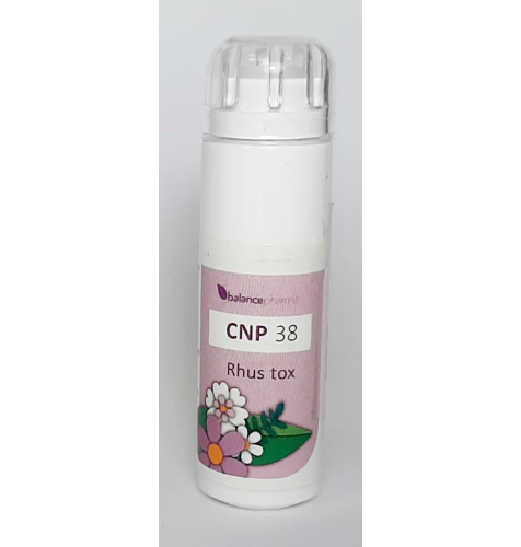 6 gram granules BalancePharma CNP 38 Rhus Tox (Constitutieplex)